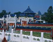 2.白杨礼赞
